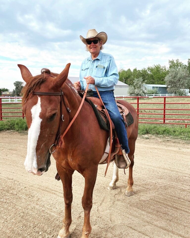 Welcome To Allegiance Ranch Allegiance Ranch And Equine Rescue