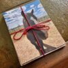 Allegiance Ranch Rescues Notecard